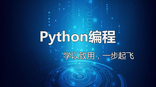 人工智能研究 從基礎(chǔ)理論到軟件開發(fā)的核心知識體系